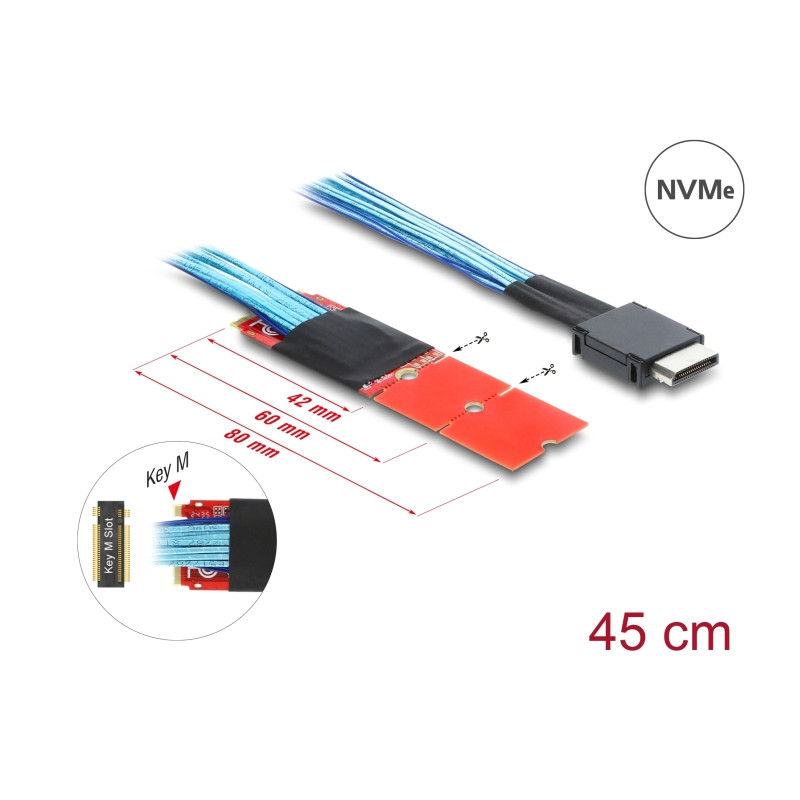 Delock M.2 Key M zu 1 x OCuLink SFF-8611 Konverter mit 45 cm Kabel