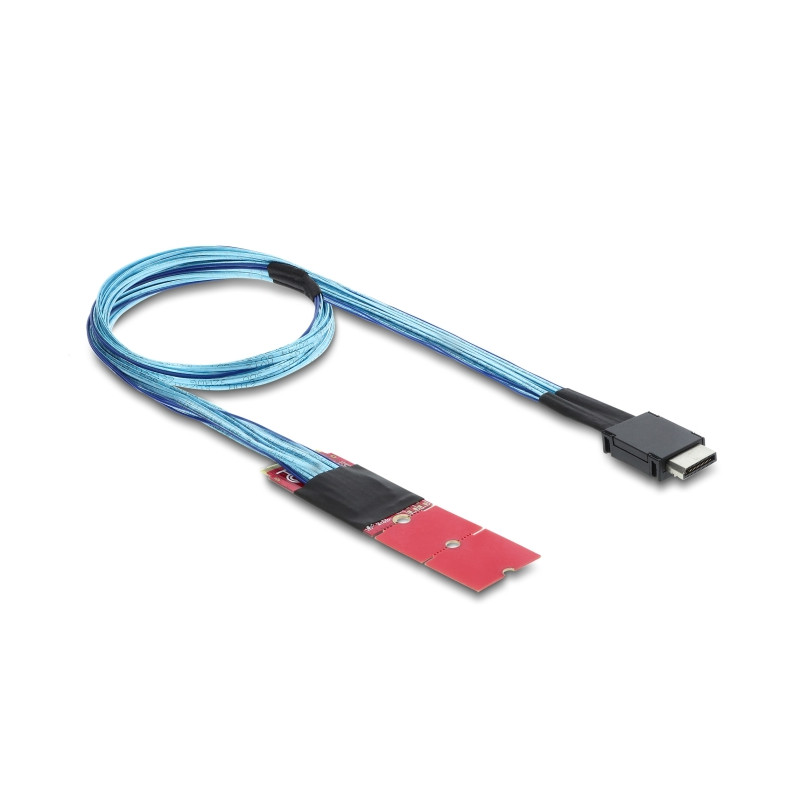 Delock M.2 Key M zu 1 x OCuLink SFF-8611 Konverter mit 45 cm Kabel