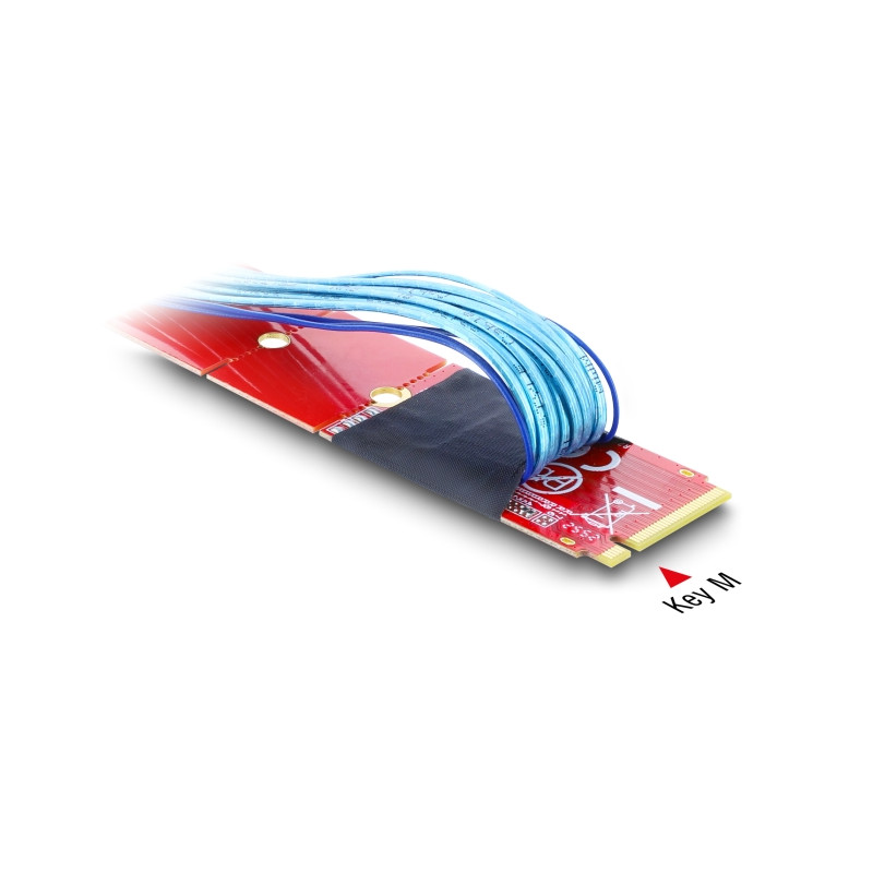 Delock M.2 Key M zu 1 x OCuLink SFF-8611 Konverter mit 45 cm Kabel