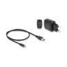 Delock USB 20 Gbps M.2 Dockingstation für 2 x M.2 NVMe PCIe SSD mit Klonfunktion