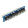 Delock Adapter IDE 44 Pin Stecker - IDE 44 Pin Stecker