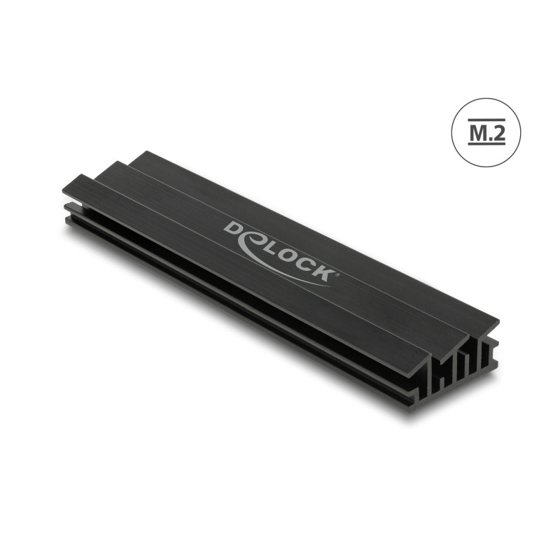 Delock Kühlkörper 100 mm für M.2 Modul schwarz