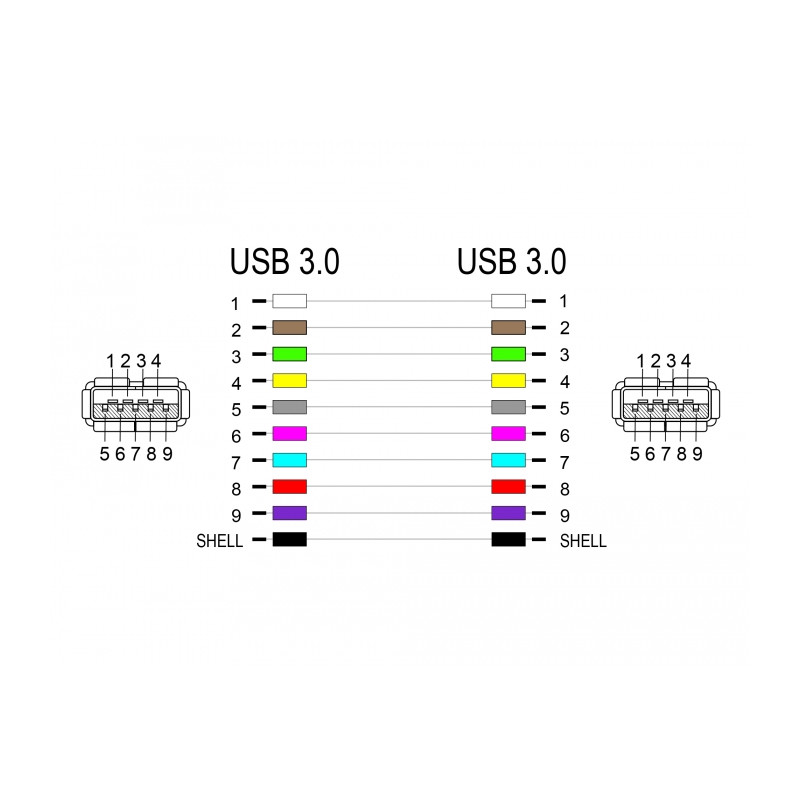 Delock Adapter USB 5 Gbps-A Buchse / Buchse (1:1)