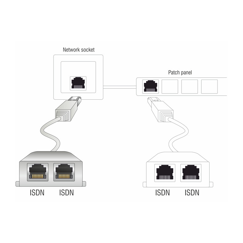 Delock RJ45 Port Doppler 1 x RJ45 Stecker - 2 x RJ45 Buchsen (2 x ISDN)