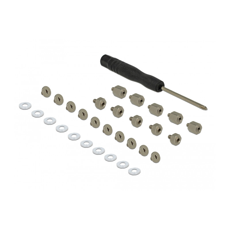 Delock Befestigungsset 31-teilig für M.2 SSD / Modul