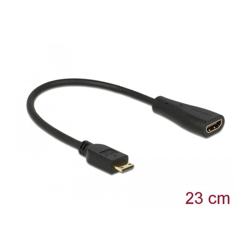 Delock Kabel High Speed HDMI mit Ethernet - mini C Stecker - A Buchse