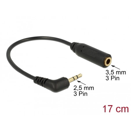 Delock Audiokabel Klinkenstecker 2,5 mm 3 Pin gewinkelt - Klinkenbuchse 3,5 mm 3 Pin
