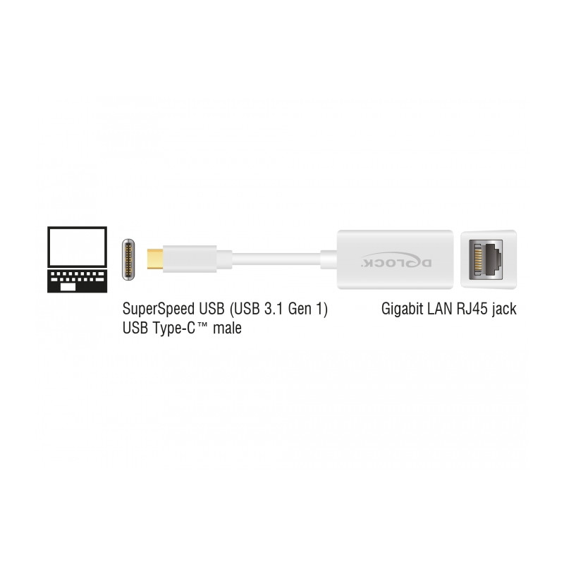 Delock USB Type-C™ Netzwerk Adapter Gigabit LAN 1 x RJ45 kompakt weiß
