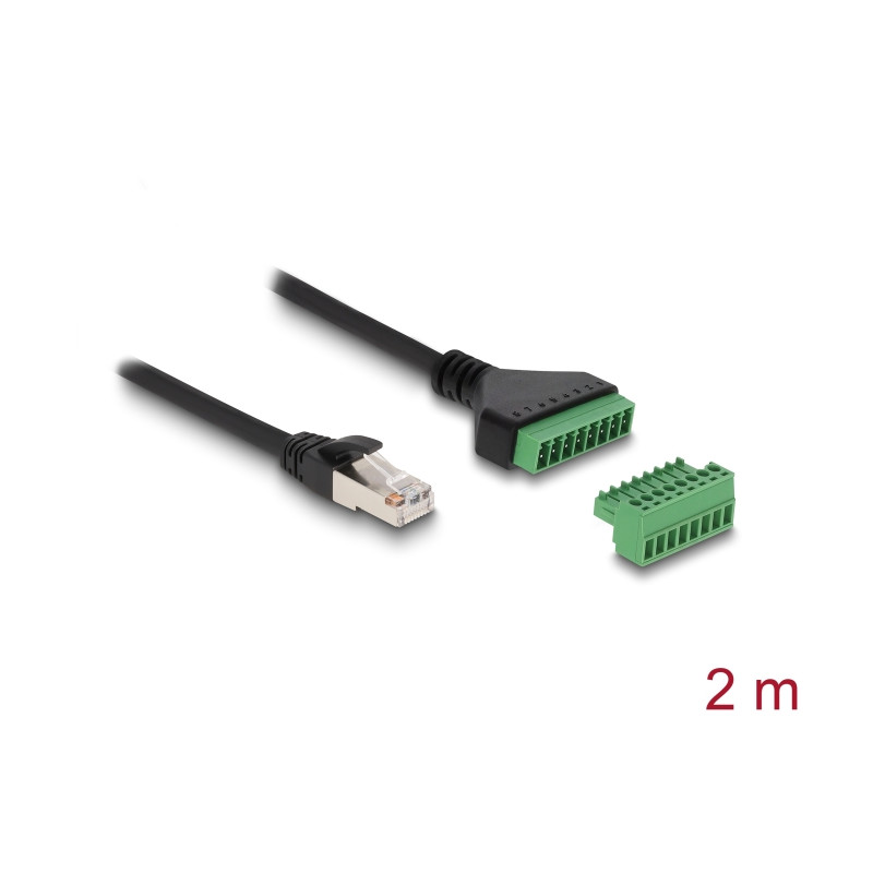 Delock RJ45 Kabel Cat.6 Stecker zu Terminalblock Adapter 2 m 2-teilig