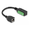 Delock RJ45 Kabel Cat.5e Buchse zu Terminalblock Adapter 21,5 cm