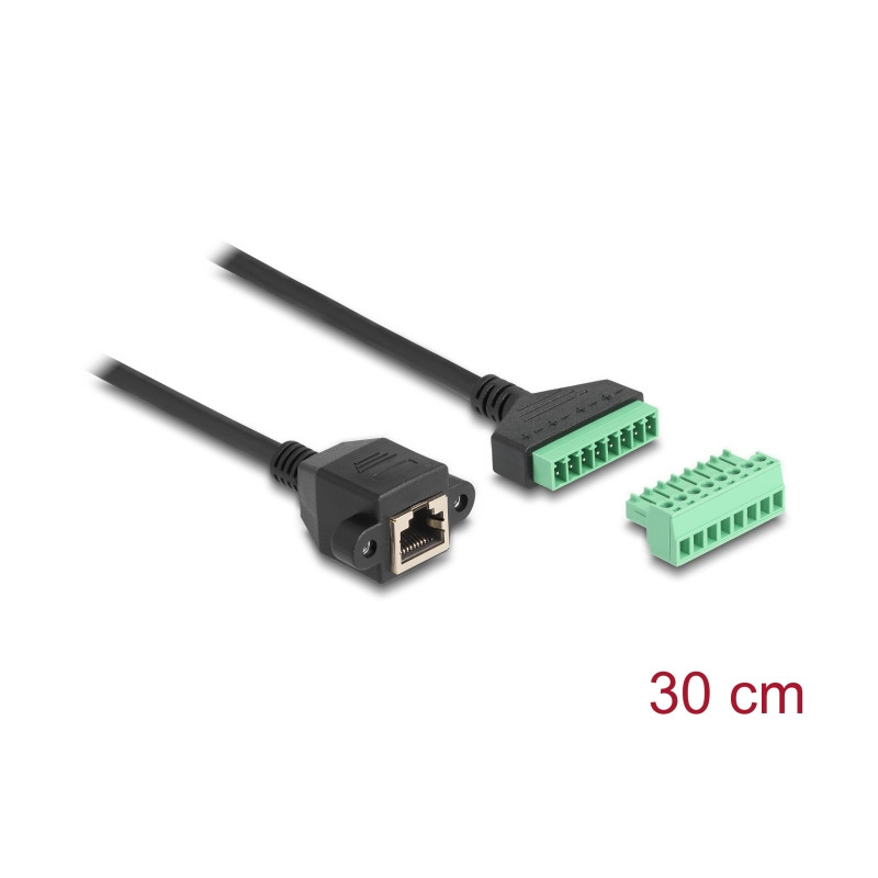 Delock RJ45 Kabel Cat.6 Buchse zu Terminalblock Adapter zum Einbau 30 cm 2-teilig