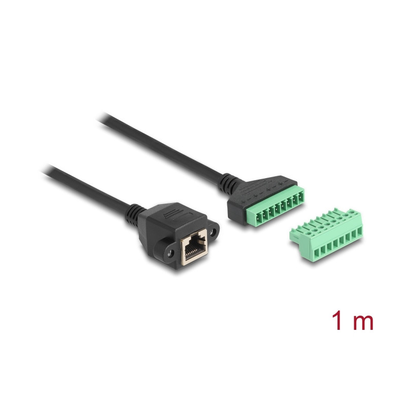 Delock RJ45 Kabel Cat.6 Buchse zu Terminalblock Adapter zum Einbau 1 m 2-teilig