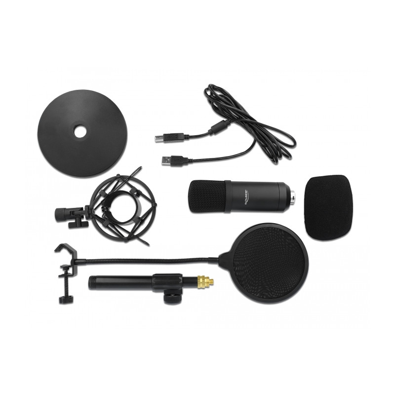 Delock Professionelles USB Kondensator Mikrofon Set für Podcasting und Gaming