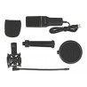 Delock USB Kondensator Mikrofon Set - für Podcasting, Gaming und Gesang